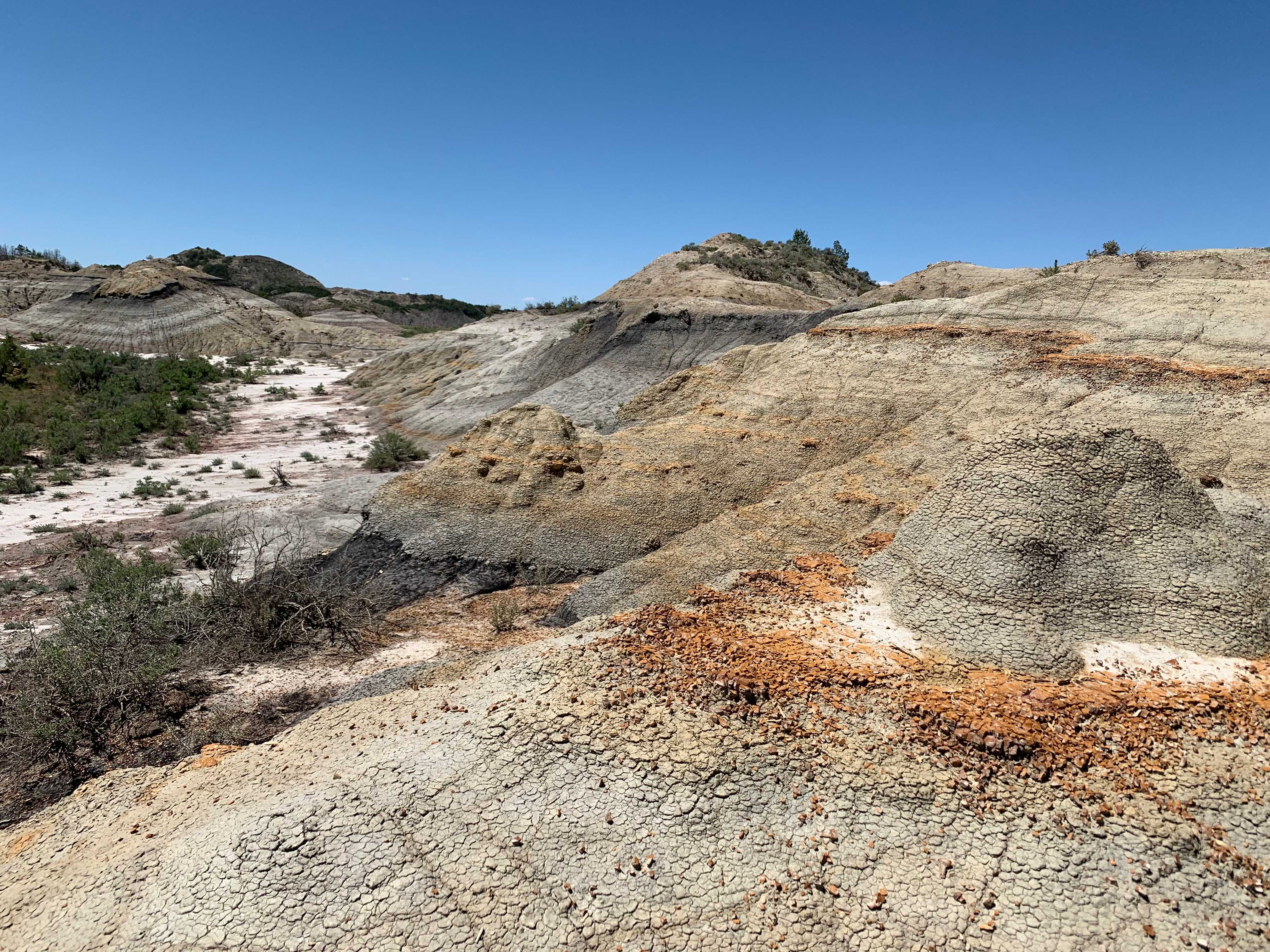 Theodore Roosevelt NP
